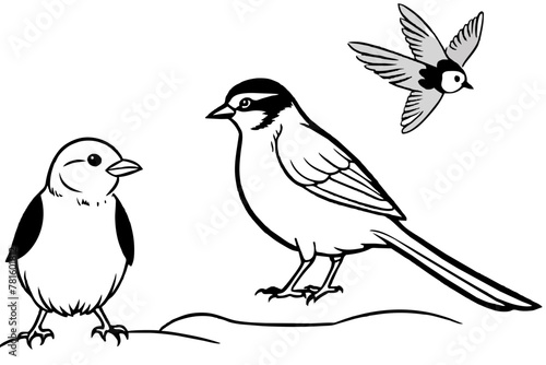 Wallpaper Mural silhouette of a bird & silktail-fantail-wren-vector-illustration Torontodigital.ca