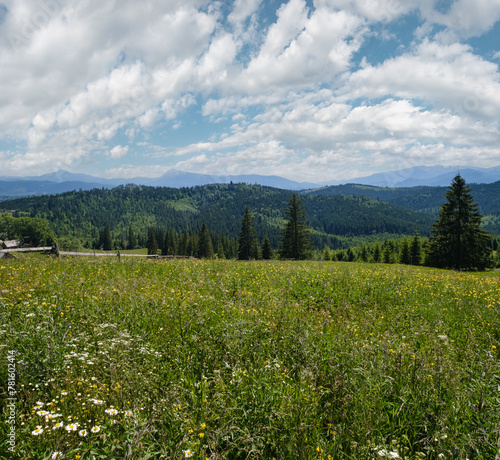 Summer Chornohora massiv mountains scenery view from Sevenei hill  near Yablunytsia pass  Carpathians  Ukraine. 