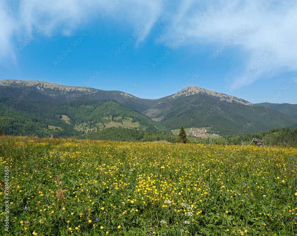 Summer Gorgany massiv mountains scenery view from Sevenei hill (near Yablunytsia pass, Carpathians, Ukraine.)