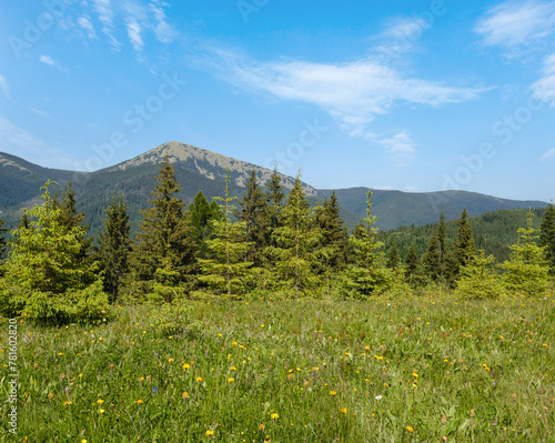 Summer Gorgany massiv mountains scenery view from Sevenei hill  near Yablunytsia pass  Carpathians  Ukraine. 