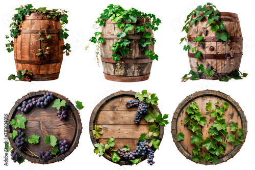 Set of barrels overgrown with grape leaves isolated on a white or transparent background. Close-up of wine barrels, side ant top view. Graphic design element.