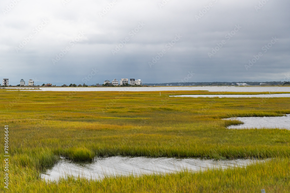 intracoastal marsh land in N.C.