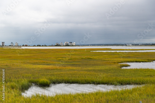 Obraz na płótnie intracoastal marsh land in N.C. w salonie