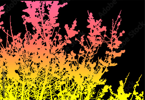 silueta arbol, arbusto, hojas, ramas, otoño, ilustracion, bosques, naturaleza, sequia, atmosfera