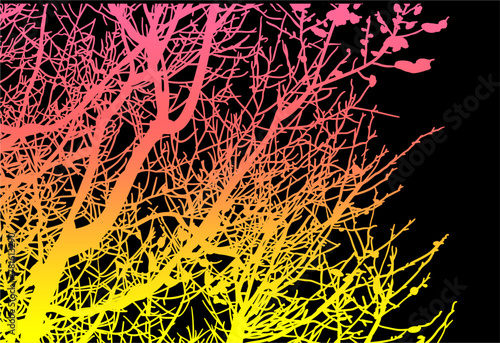 silueta arbol, arbusto, hojas, ramas, otoño, ilustracion, bosques, naturaleza, sequia, atmosfera