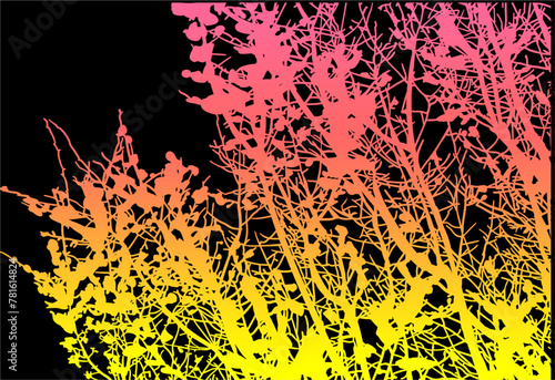 silueta arbol, arbusto, hojas, ramas, otoño, ilustracion, bosques, naturaleza, sequia, atmosfera