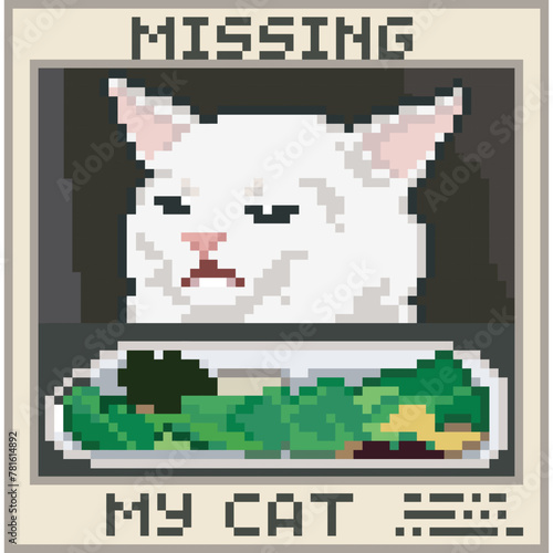 Missing cat poster, pixel art meme