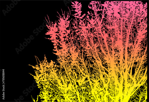 silueta arbol, arbusto, hojas, ramas, otoño, ilustracion, bosques, naturaleza, sequia, atmosfera