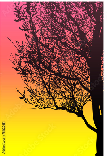 silueta arbol, arbusto, hojas, ramas, otoño, ilustracion, bosques, naturaleza, sequia, atmosfera