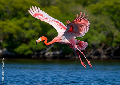 A pink flamingo is flying over a body of water. The bird is in the air and has its wings spread out. The scene is peaceful and serene, with the bird soaring above the water photo