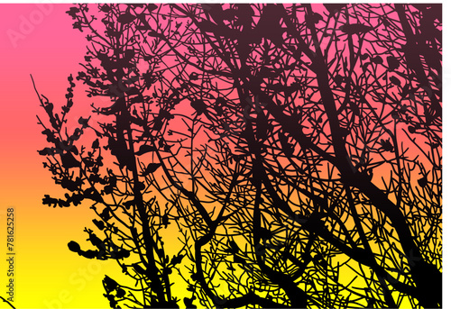 silueta arbol, arbusto, hojas, ramas, otoño, ilustracion, bosques, naturaleza, sequia, atmosfera