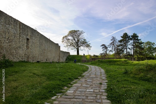 The cobblestone road along the sary fortress leads to a large tree photo