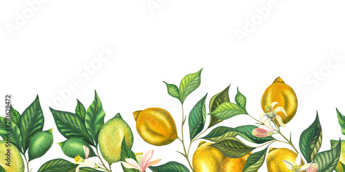 Watercolor seamless border with blooming limes and lime branch with leaves, pink flowers, lime and green lemon. Hand painted yellow fruits and flower isolated on white background. Fresh citrus