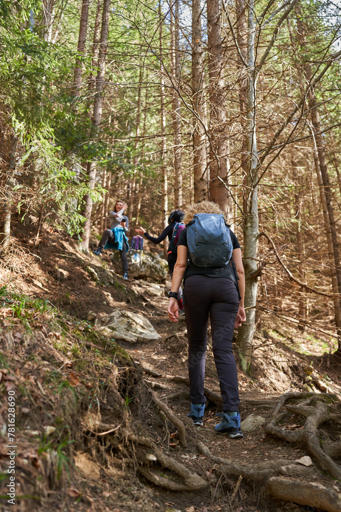 Naklejka premium Women hikers with backpacks in the mountains