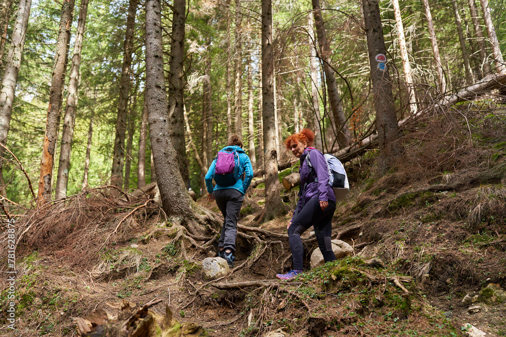 Naklejka premium Women hikers with backpacks in the mountains
