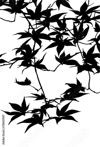 silueta arbol, arbusto, hojas, ramas, otoño, ilustracion, bosques, naturaleza, sequia, atmosfera, hoja de arce
