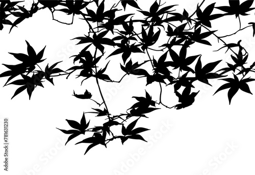 silueta arbol, arbusto, hojas, ramas, otoño, ilustracion, bosques, naturaleza, sequia, atmosfera, hoja de arce