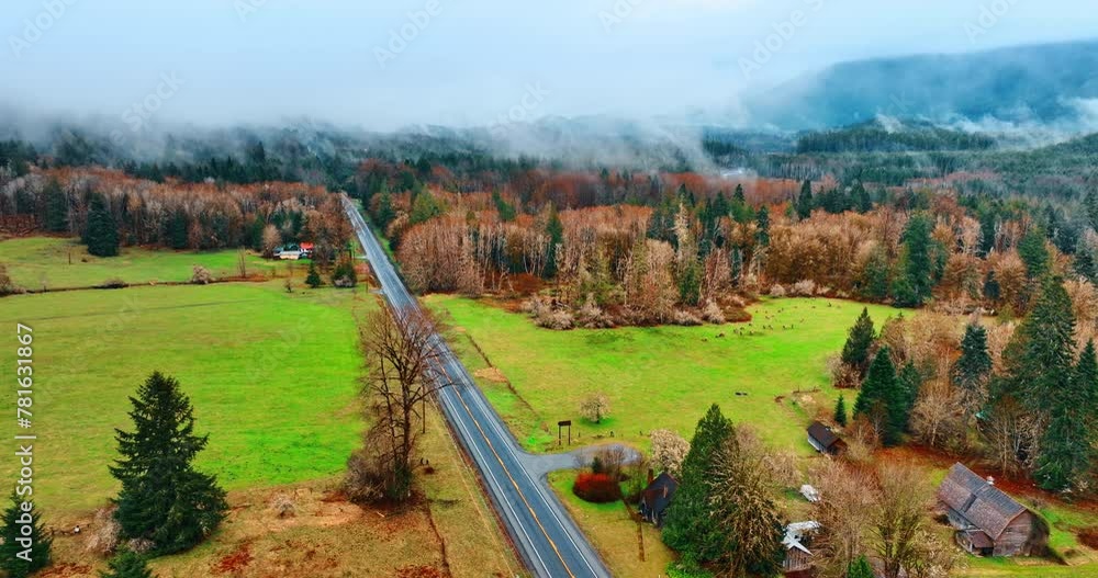 Empty road passing through the picturesque countryside in the mountainous area. Mist raising above the trees and pine-trees in the forest. Aerial perspective.