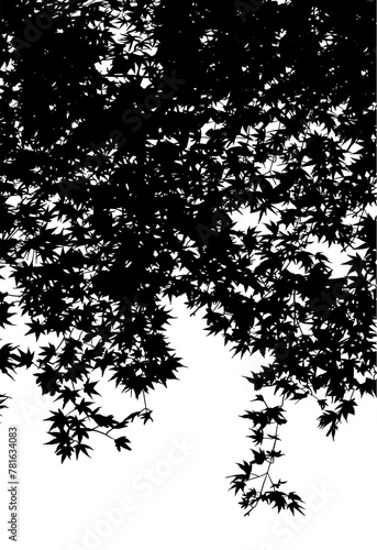 silueta arbol, arbusto, hojas, ramas, otoño, ilustracion, bosques, naturaleza, sequia, atmosfera, hoja de arce