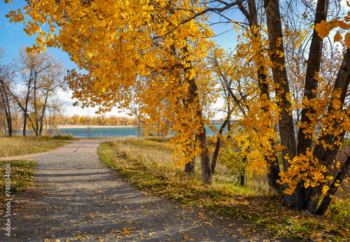 A peek at the lake and swim beach as viewed from one of the walking trails lined with golden Cottonwood trees in the Fall Season at Cherry Creek State Park in Colorado.