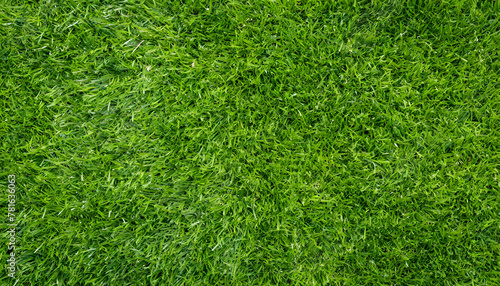 Green grass texture background. Top view photo.