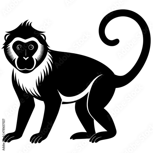 Hoests monkey colobus silhouette vector style black   white.