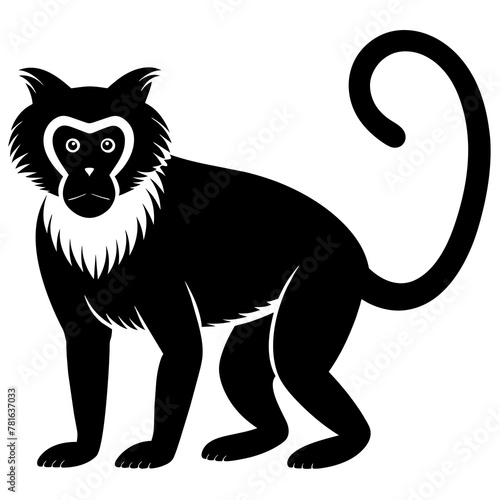 
Hoests monkey colobus silhouette vector style black & white. photo