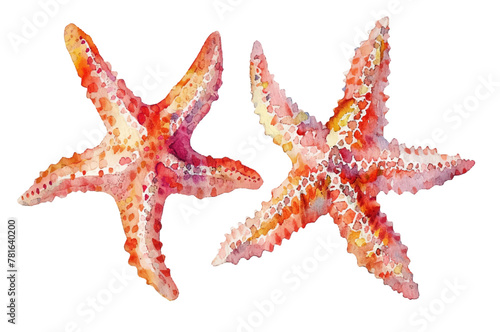  Starfish set  isolated vector watercolor illustration.