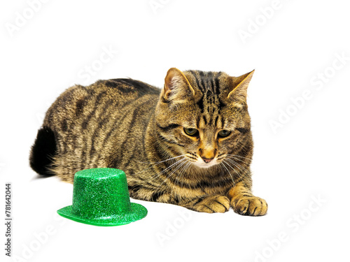 Tabby brown color cat with green Irish hat on light background. Animal with green color. Studio shot.