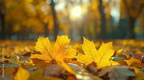 Two yellow leaves are laying on the ground in a forest, AI