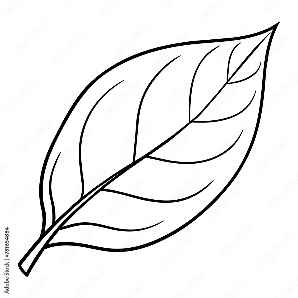 Leaf