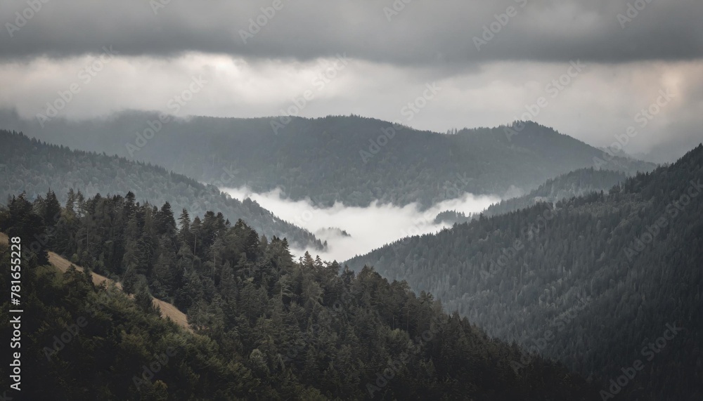 landscape of misty mountains view of coniferous forest layers of mountain and haze in the hills at distance beautiful cloudy sky tourism and travelling