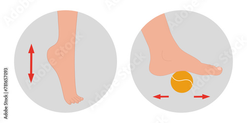 Special exercise for food deformation problem. Orthopedist Therapeutic and strengthening foot with tennis ball and up and down movements