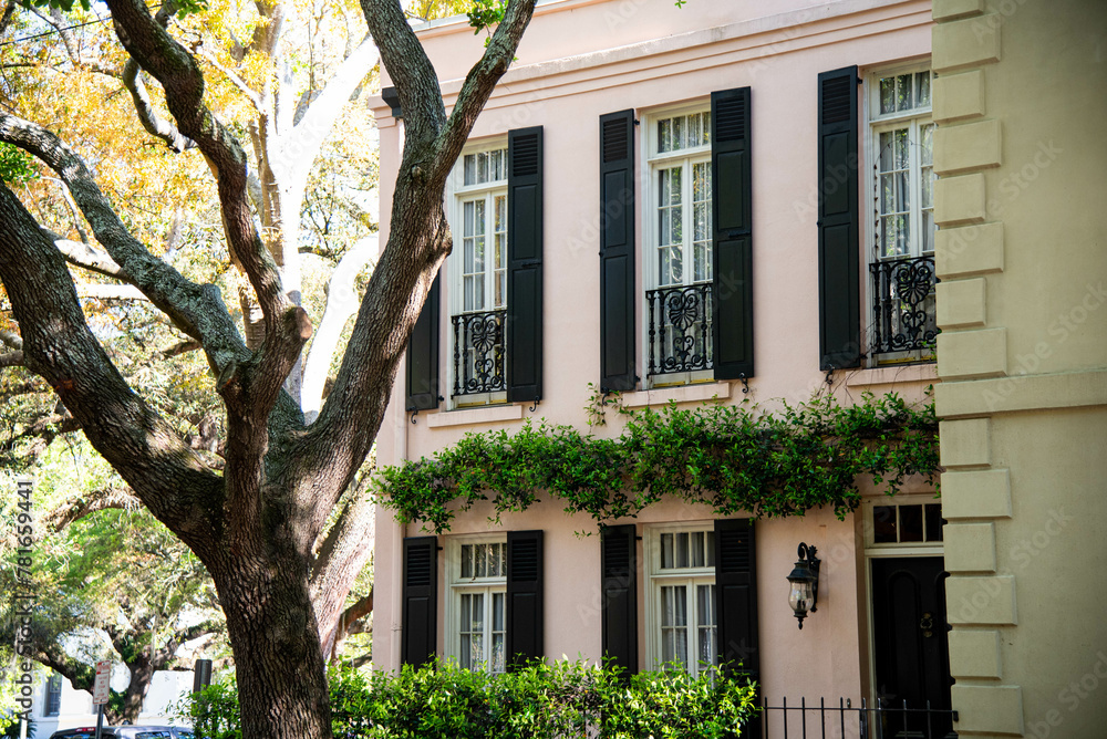 Fototapeta premium Savannah Georgia Architecture