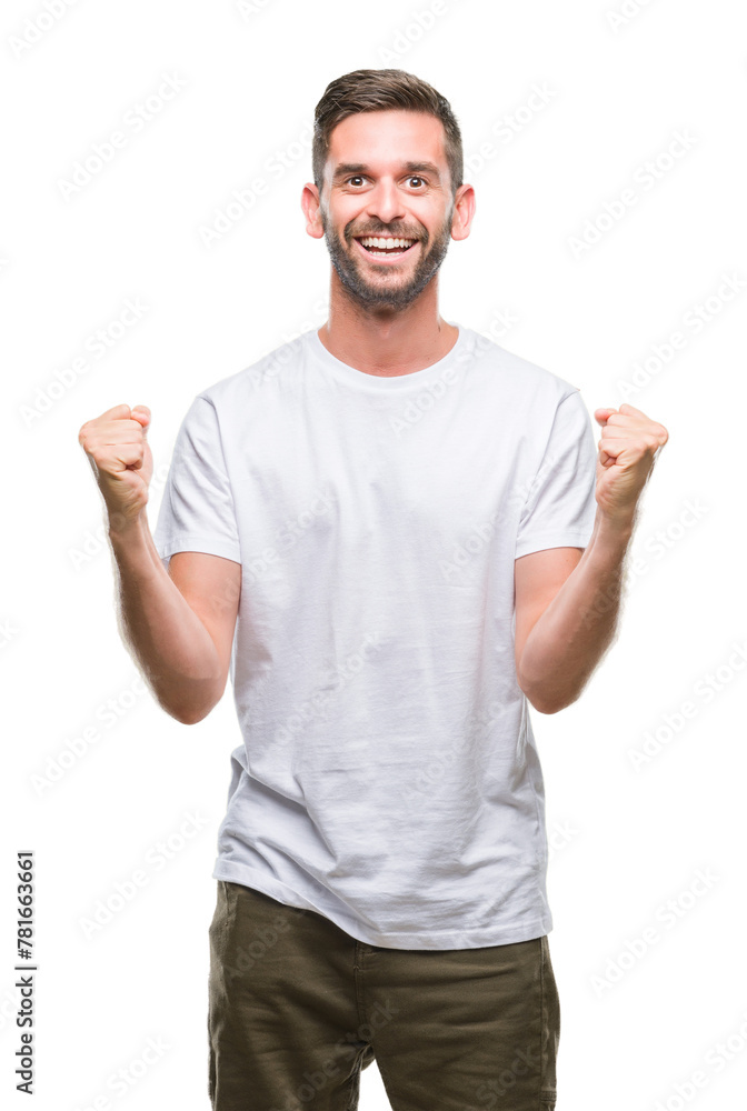Young handsome man over isolated background celebrating surprised and amazed for success with arms raised and open eyes. Winner concept. Young handsome man over isolated background celebrating surprised and amazed for success with arms raised and open eyes. Winner concept.