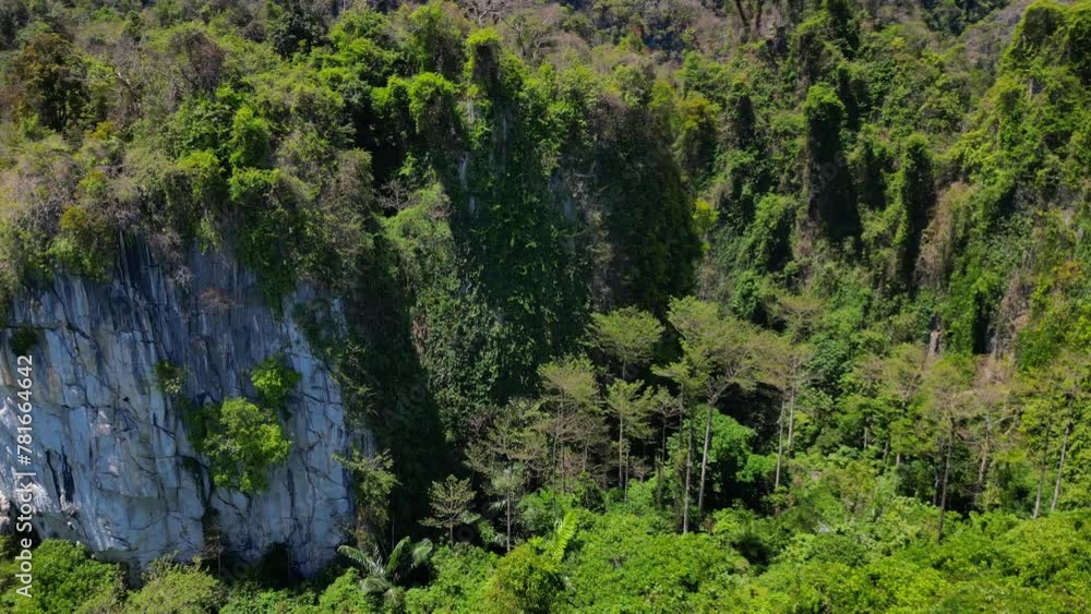 Lush green Jungle tropical mountain landscape Majestic aerial view flight drone Lush green Jungle tropical mountain landscape Majestic aerial view flight drone
