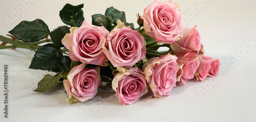 Against a backdrop of pure white  a bouquet of freshly picked pink roses exudes natural beauty and charm  each bloom captured in exquisite detail by the HD camera