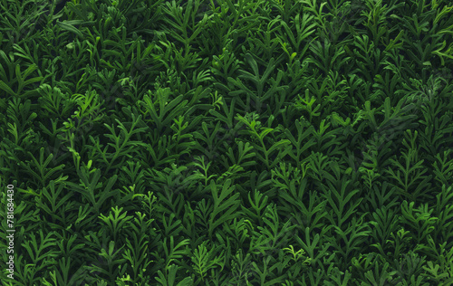 Foliage background with fresh green plant leaves. Plant wall for environmentally friendly or Earth day background.