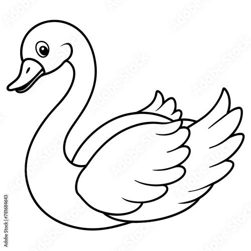 white swan isolated on white