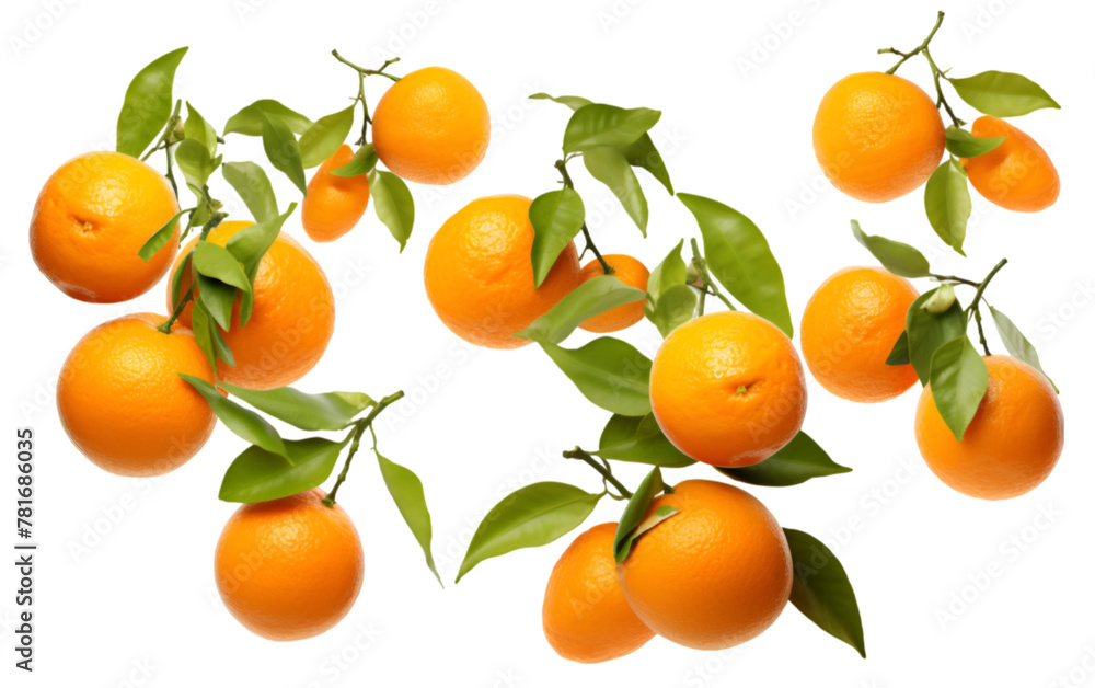 Flying Tangerines Real Image Isolated on White Background