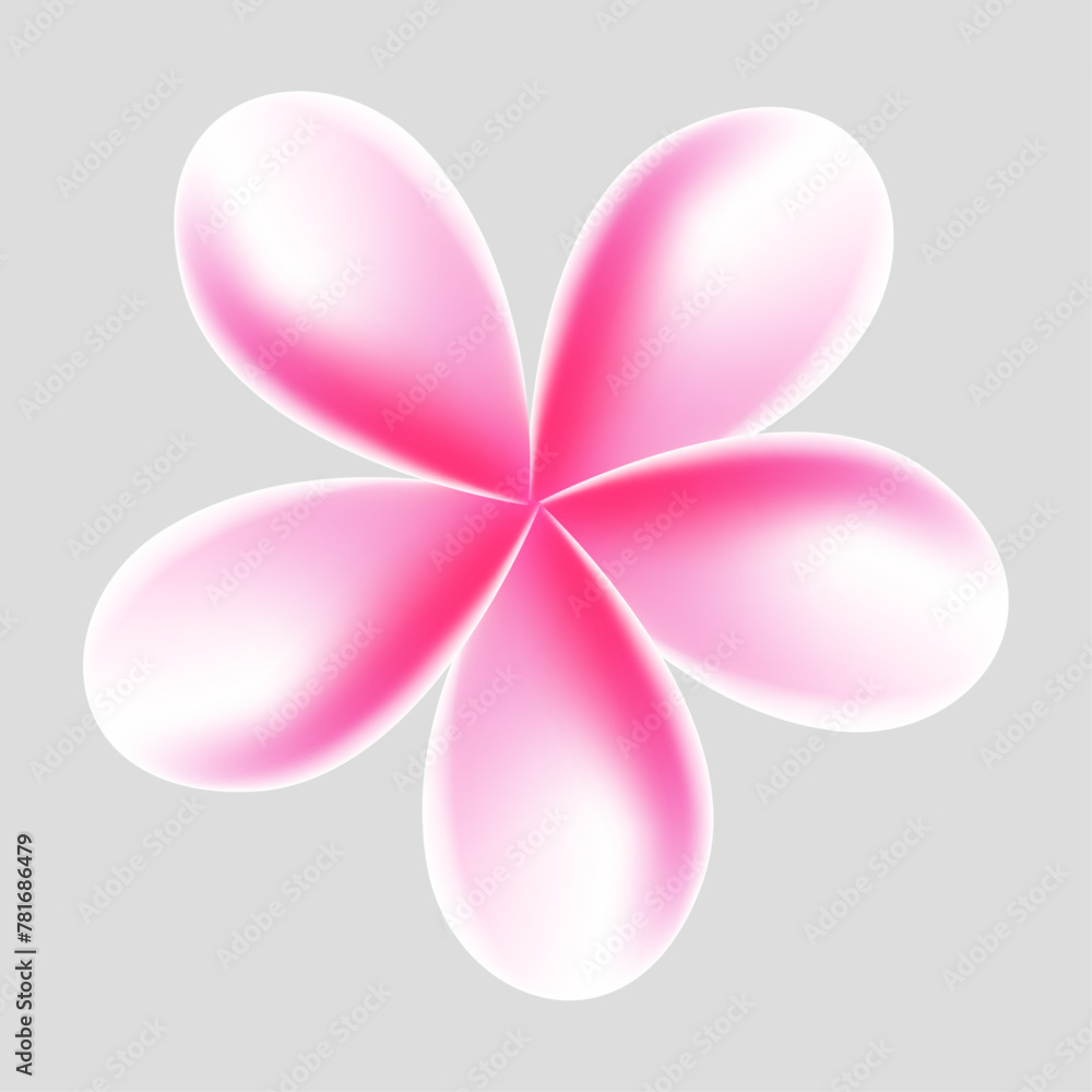 Vector plumeria tropical flower illustration on white background