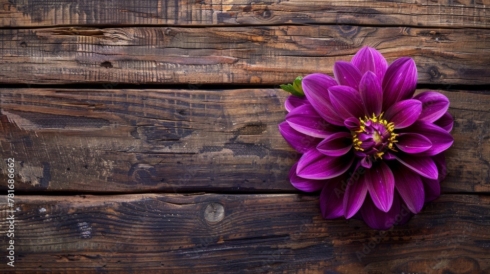 Naklejka premium Purple flower on wooden surface with background