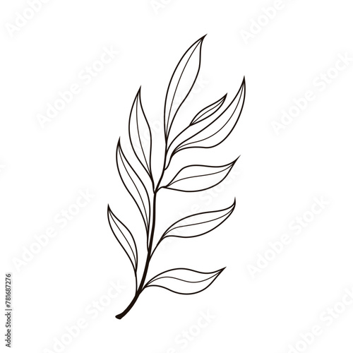 Hand drawn tree leaf twig floral element illustration