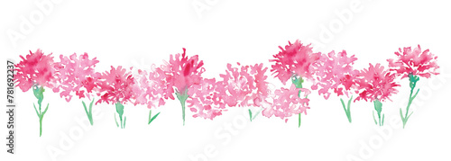水彩画。水彩タッチのカーネーションベクターイラスト。母の日のカーネーションイラスト。Watercolor painting. Carnation vector illustration with watercolor touch. Mother's day carnation illustration.