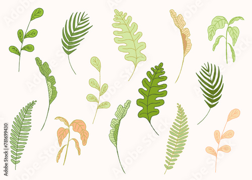 Tropical Leaves Vector Set – Monstera, Palm, Exotic Jungle Plants, Botanical Summer Foliage