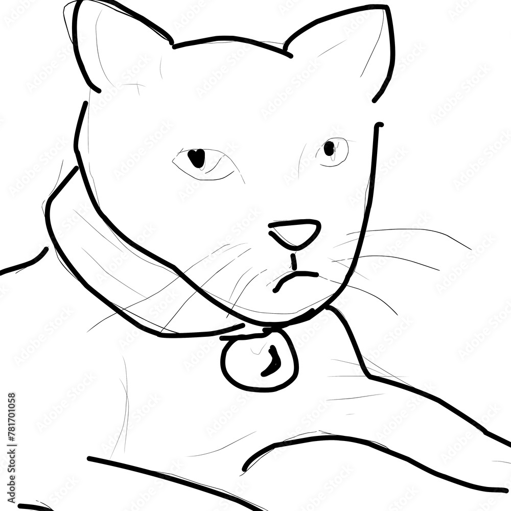 Obraz premium Sketch of cat