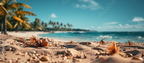 Autumn leaves on a sandy beach in the tropics. Selective focus.