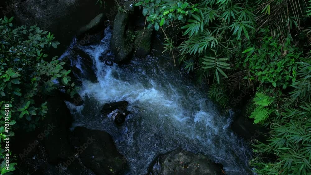 A small river in the vicinity of the city of Ubud on the island of Bali in Indonesia, video filmed from the air. A small river in the vicinity of the city of Ubud on the island of Bali in Indonesia, video filmed from the air.
