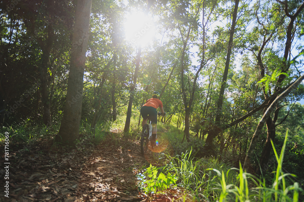 Mountain biking on spring forest trail Mountain biking on spring forest trail