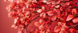 Blossoming Red and Pink Flowers, Spring Nature Beauty, Bright Blooming Plants, Seasonal Gardening Theme